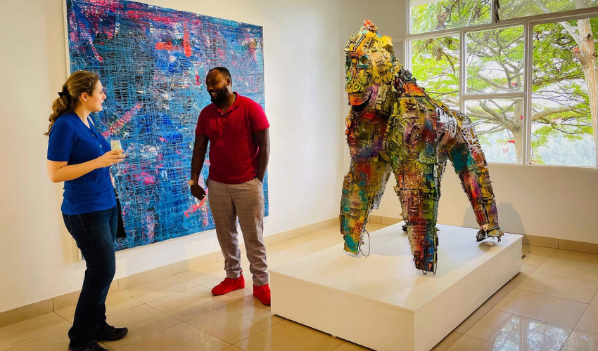 Enjoy unique and personal art tour of local Rwandan artists in Kigali.